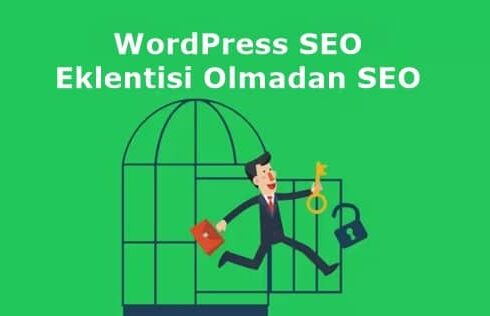 wordpressseo